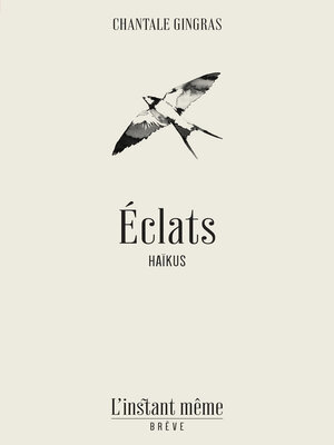 cover image of Éclats